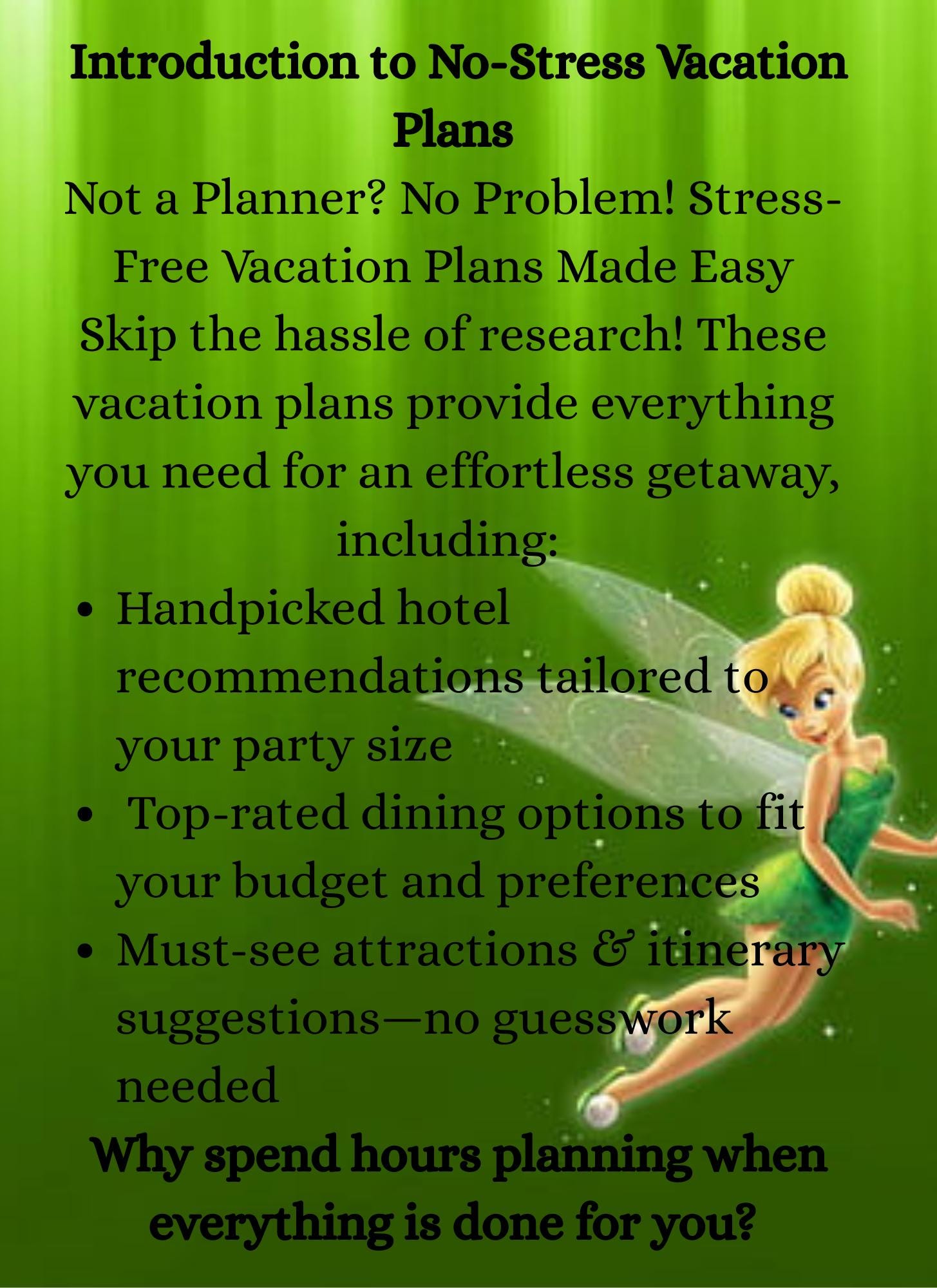 Budget Friendly 3-day Disney Plan: Effortless Planning for Hotels, Rides, Dining & Magic - 10 Page fillable planner and Tons of Bonus tips