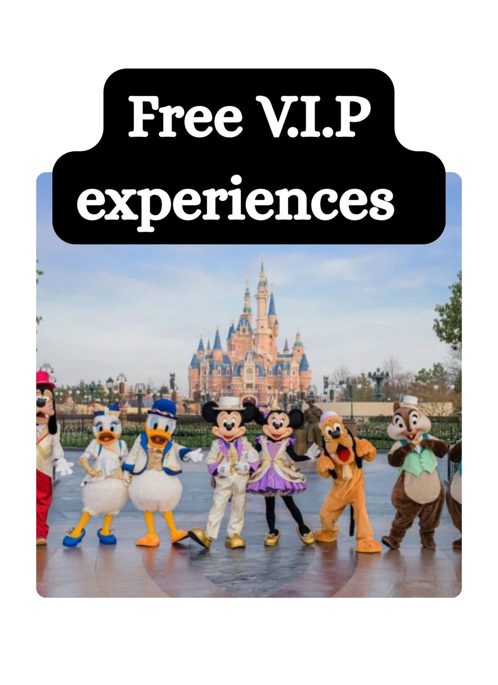 Little VIP's Disney Itinerary | Stress-Free Disney Plan for Families 4 Days Included | Park Strategies, Insider Delights | Download & links