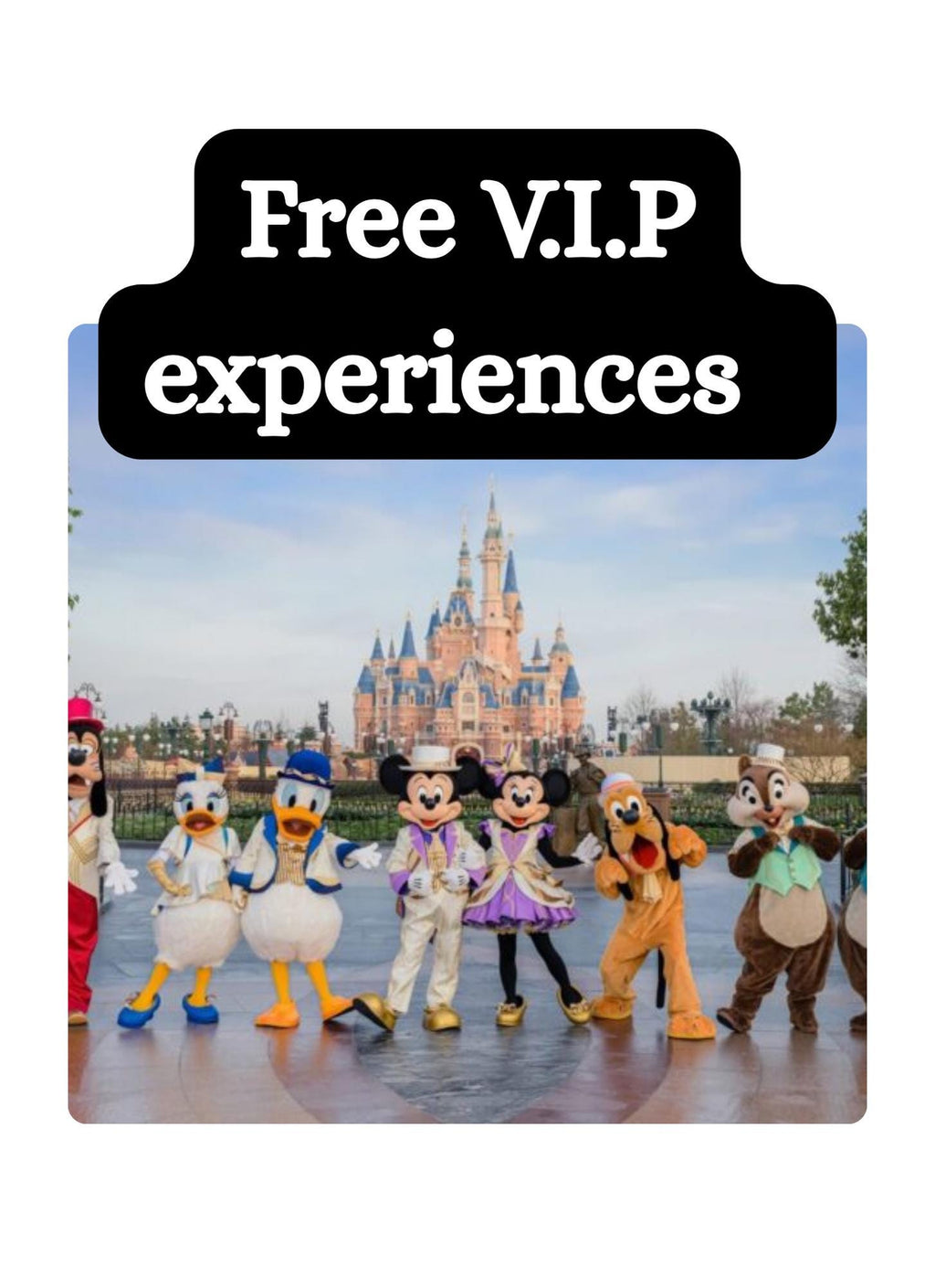Little VIP's Disney Itinerary | Stress-Free Disney Plan for Families 4 Days Included | Park Strategies, Insider Delights | Download & links